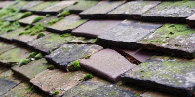 Little Chishill roof repair costs